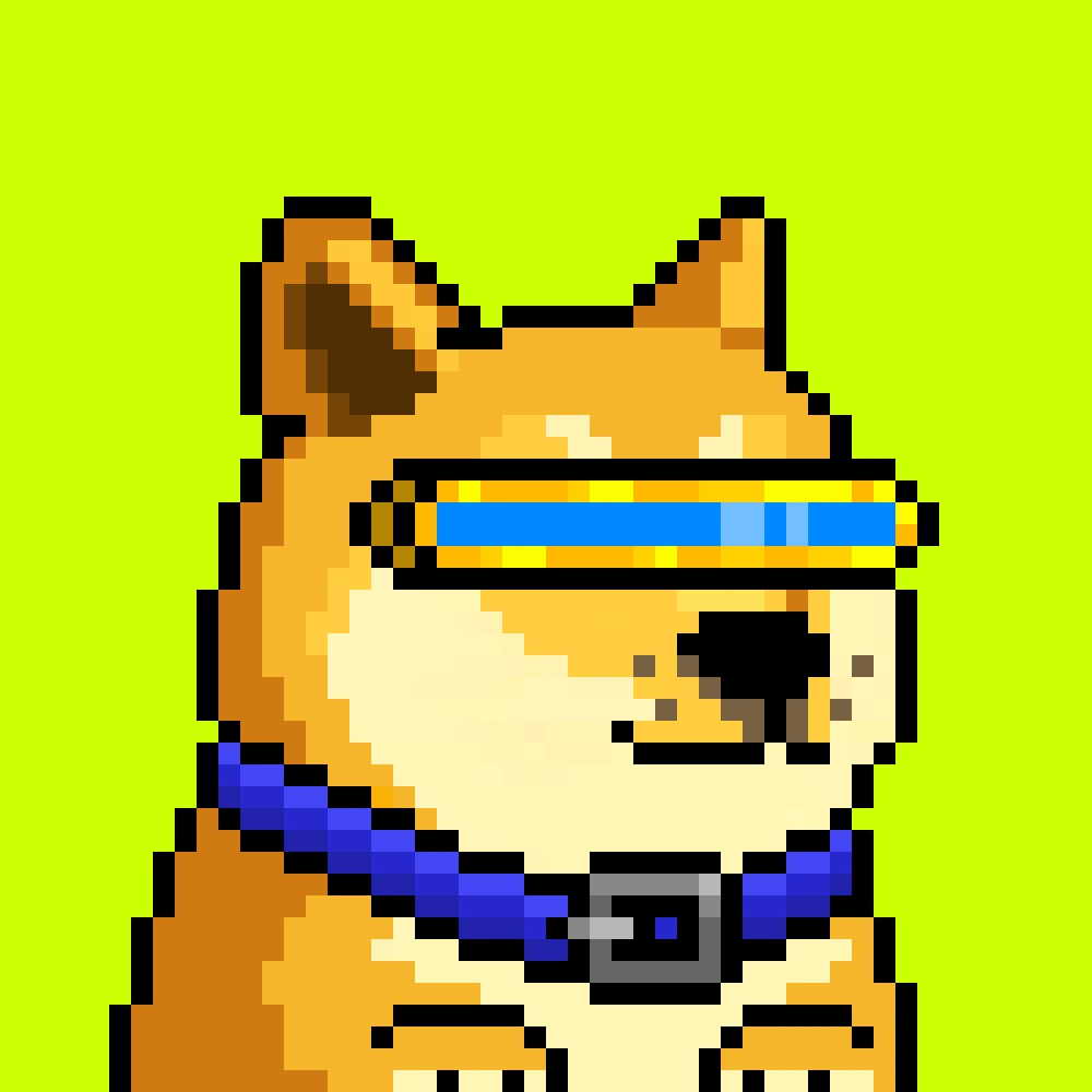 Robinhood Doge #2458
