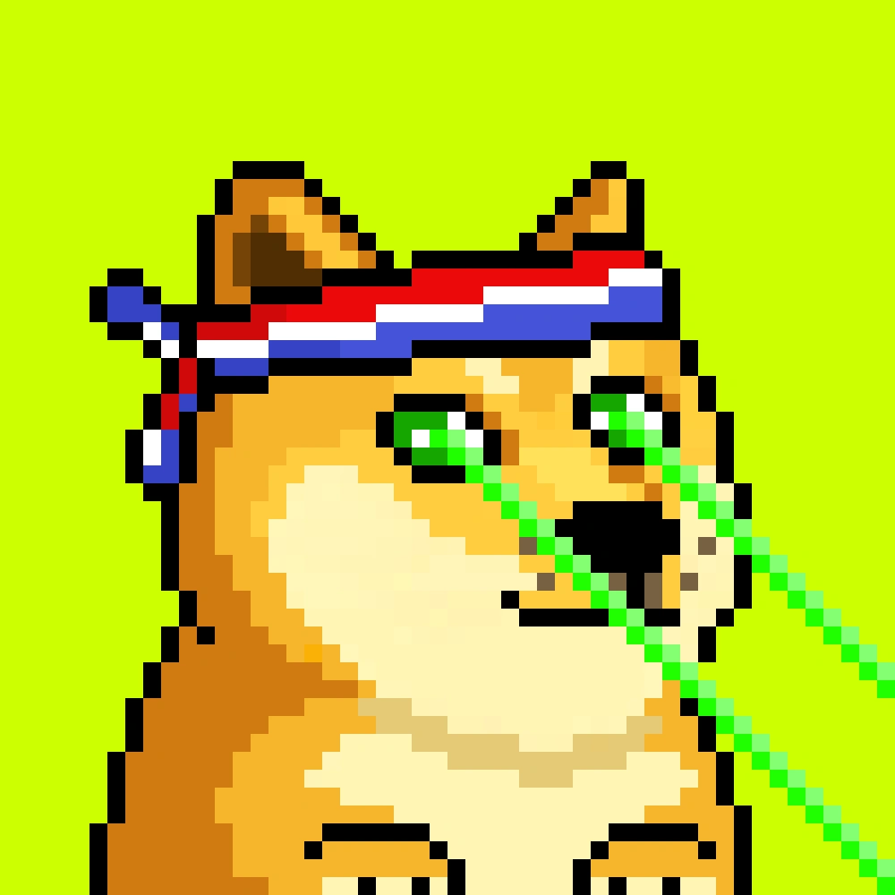 Robinhood Doge #2462