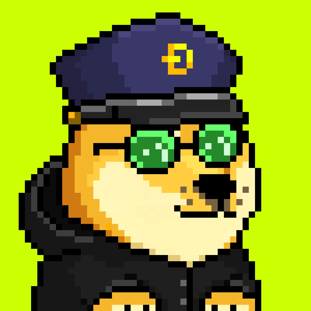 Robinhood Doge #2466