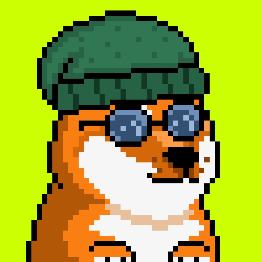 Robinhood Doge #2467