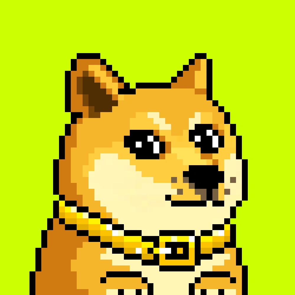 Robinhood Doge #2470