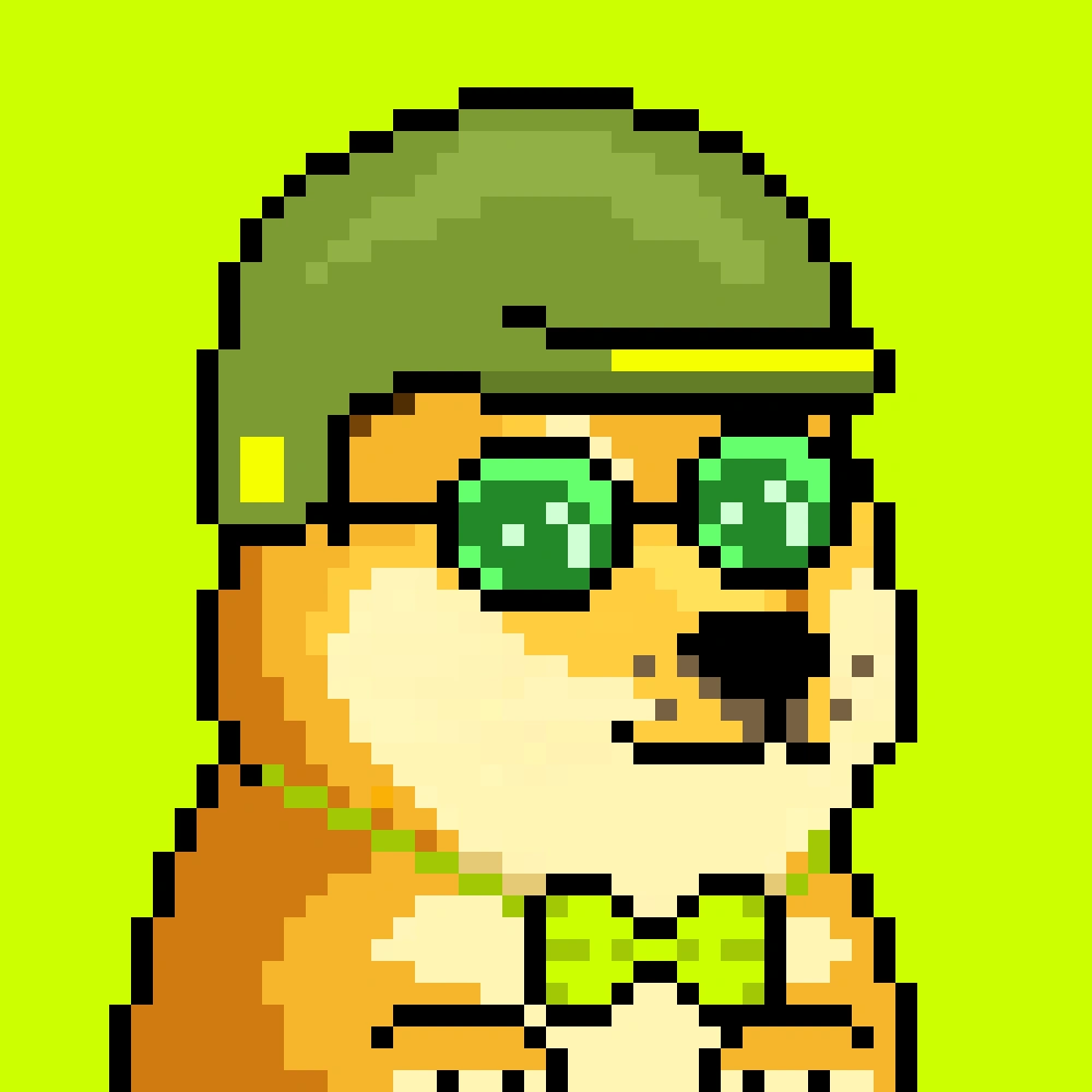 Robinhood Doge #2472