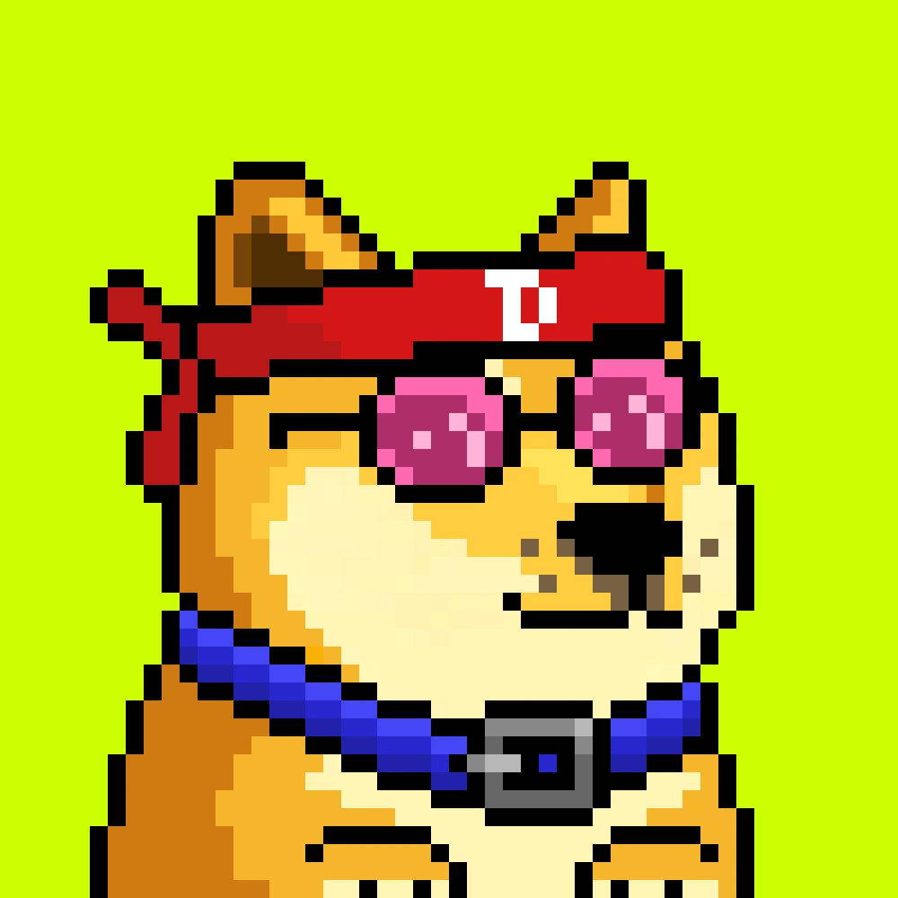 Robinhood Doge #2475