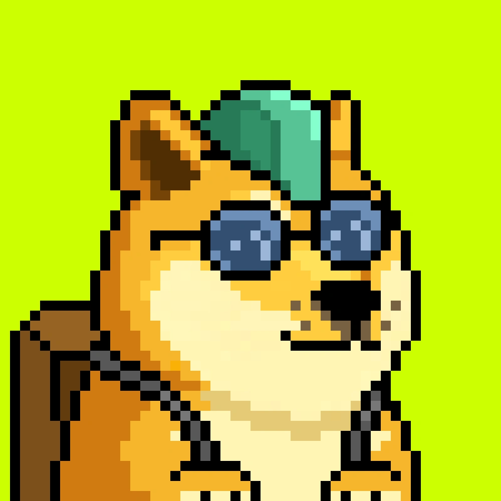Robinhood Doge #2476