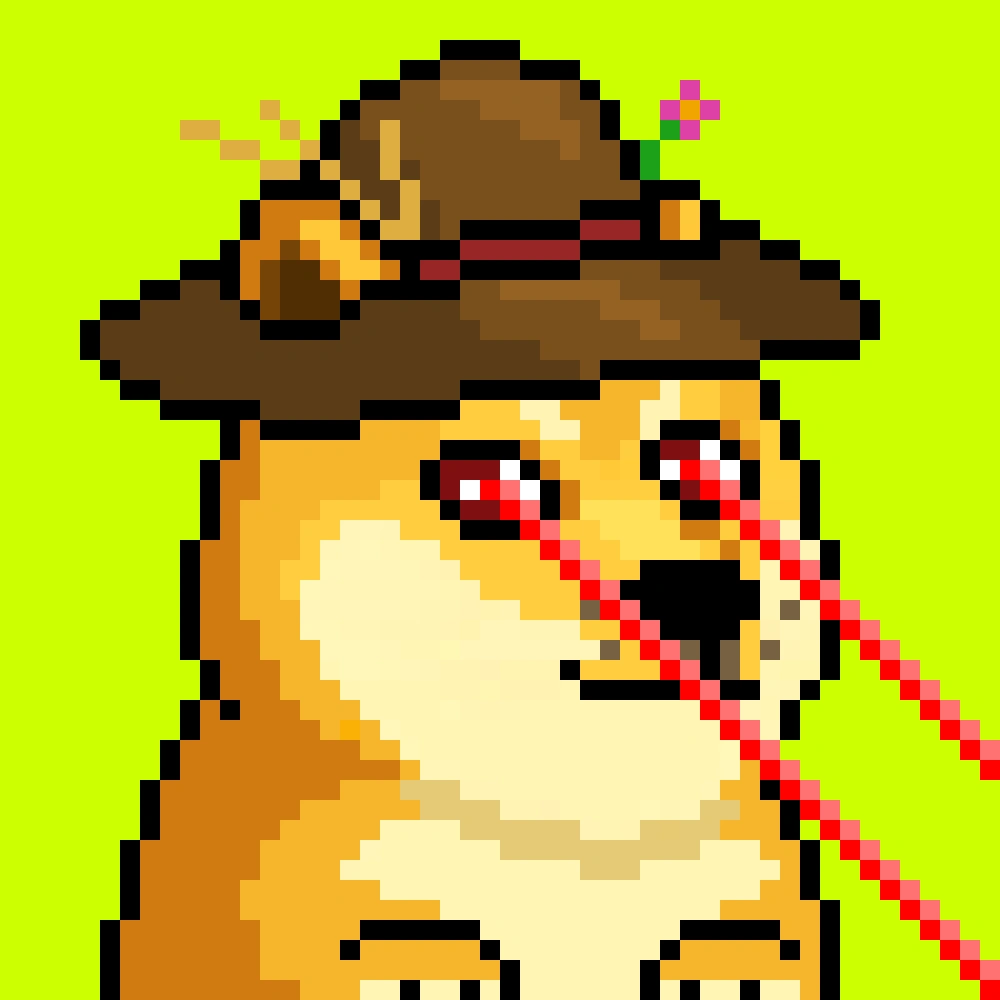 Robinhood Doge #2478