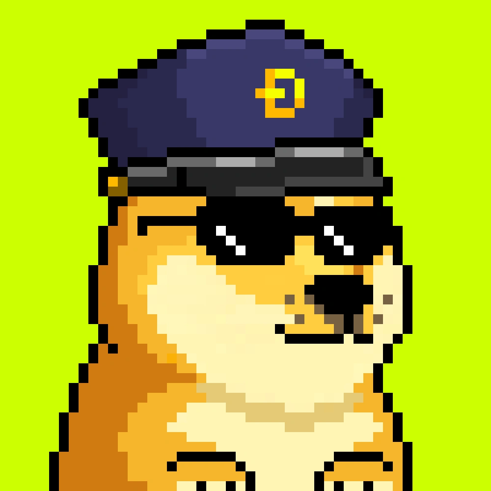 Robinhood Doge #2479