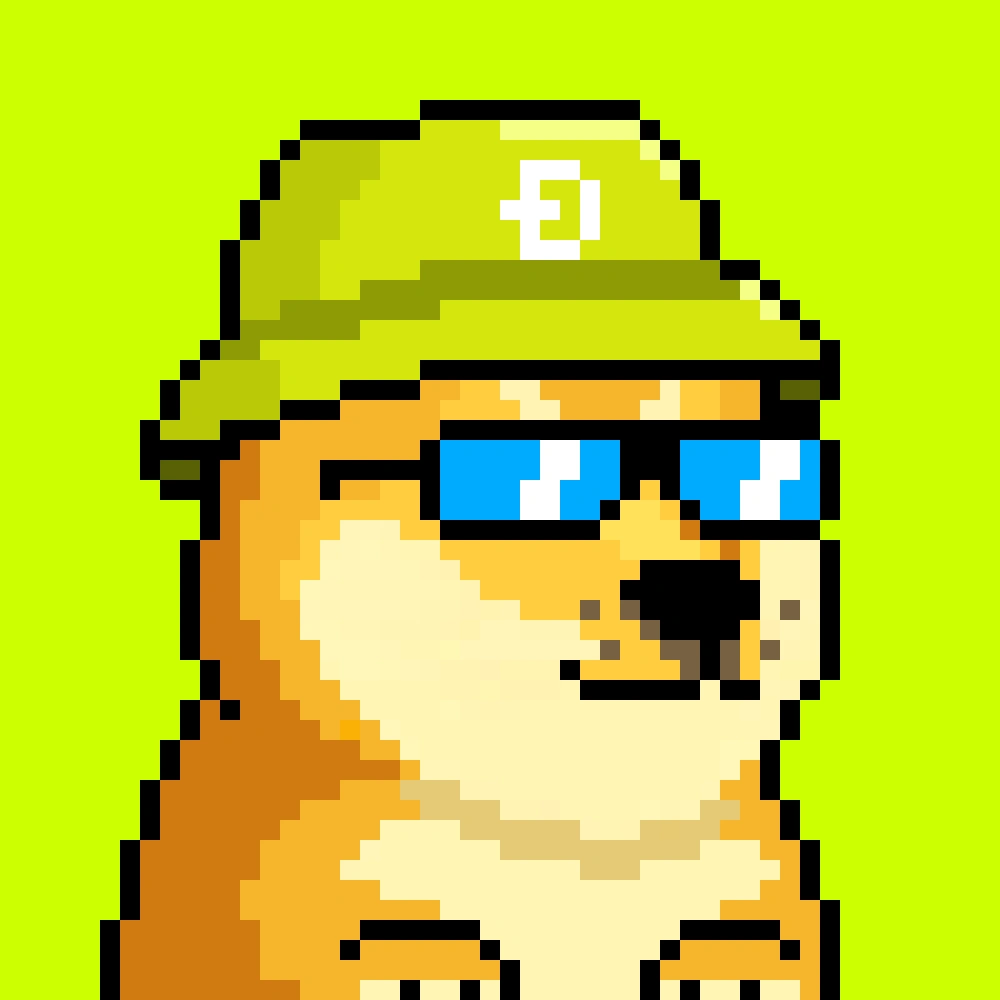 Robinhood Doge #2482
