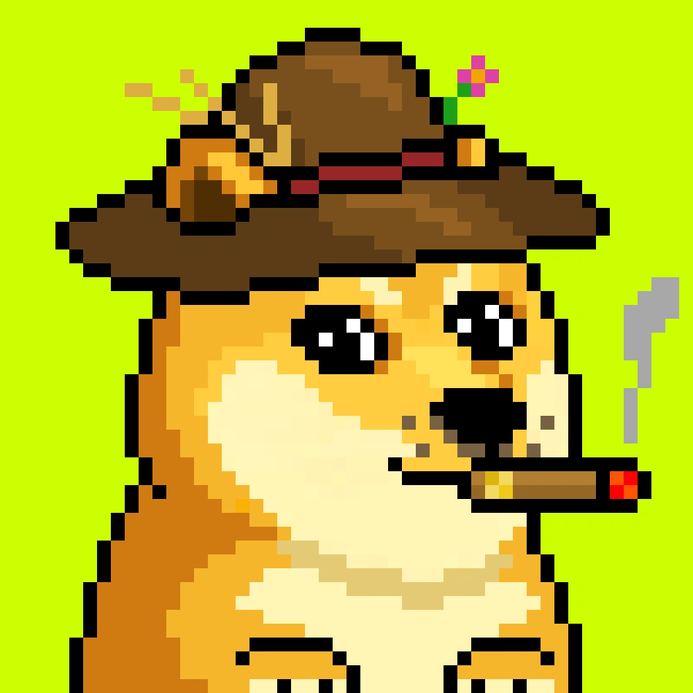 Robinhood Doge #2484