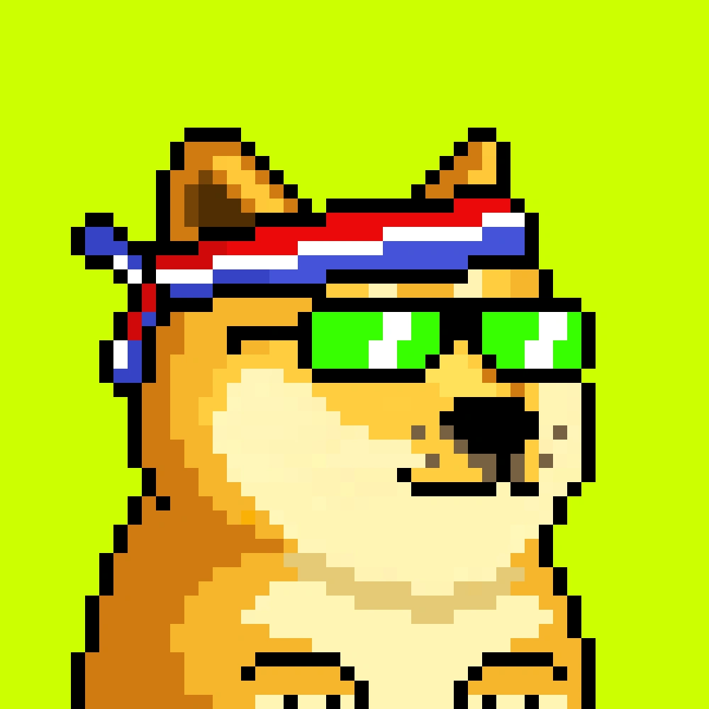 Robinhood Doge #513