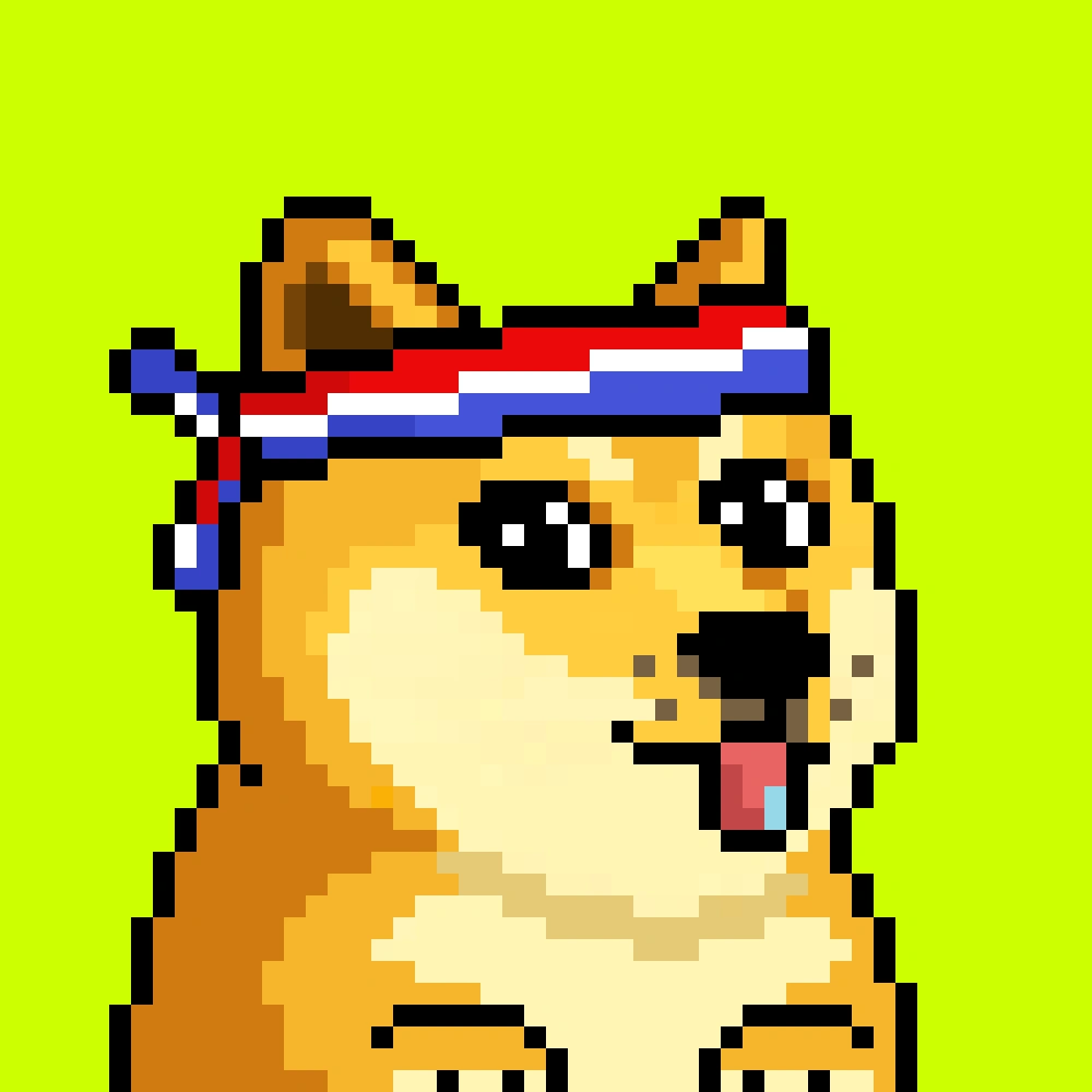 Robinhood Doge #517
