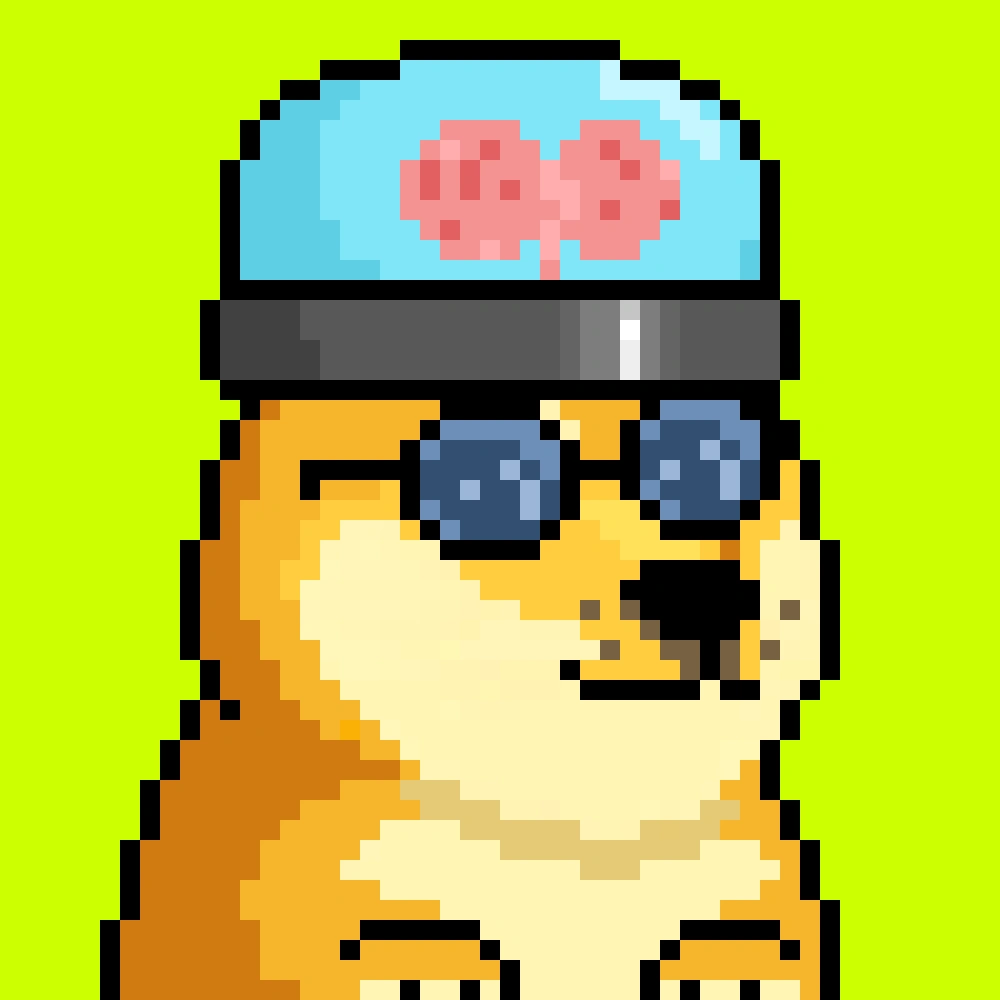 Robinhood Doge #518