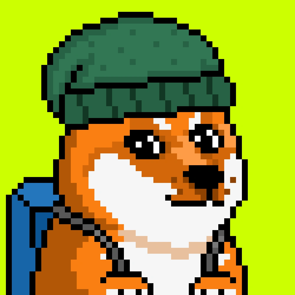 Robinhood Doge #521