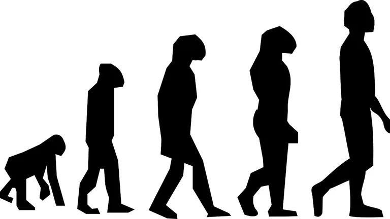 EVOLUTION #6040