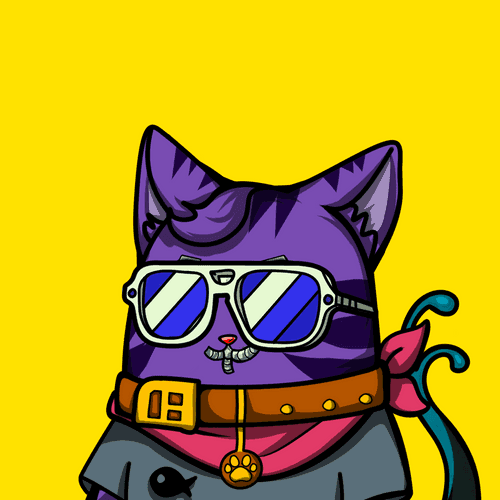 Robinhood Cat #112