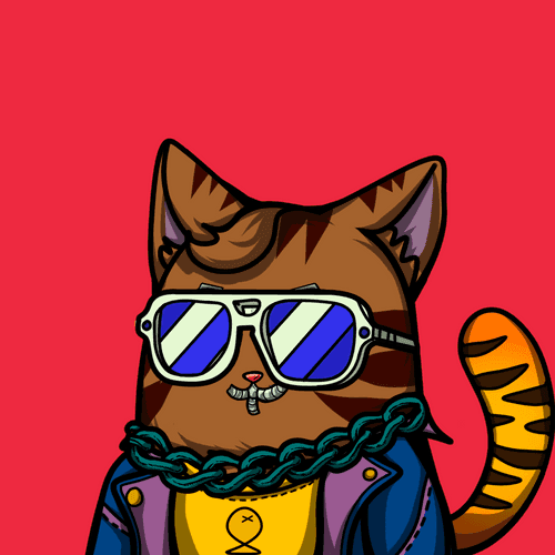 Robinhood Cat #2017