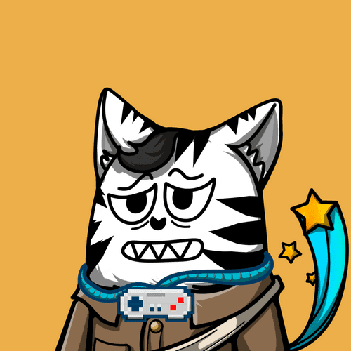 Robinhood Cat #2019