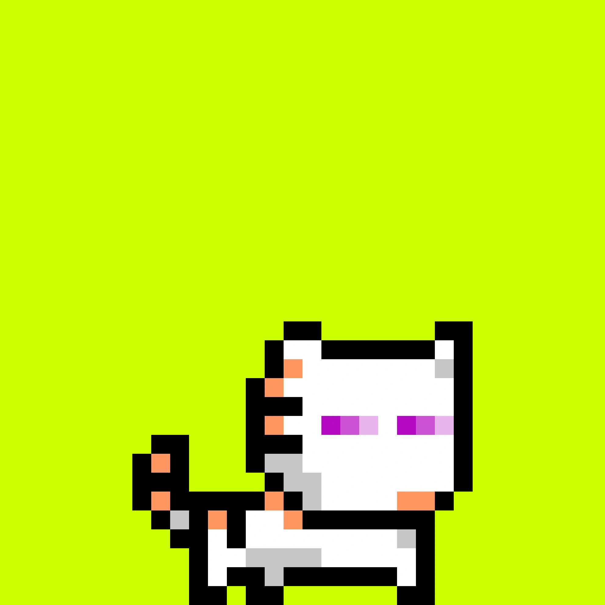 Robinhood Cats #49