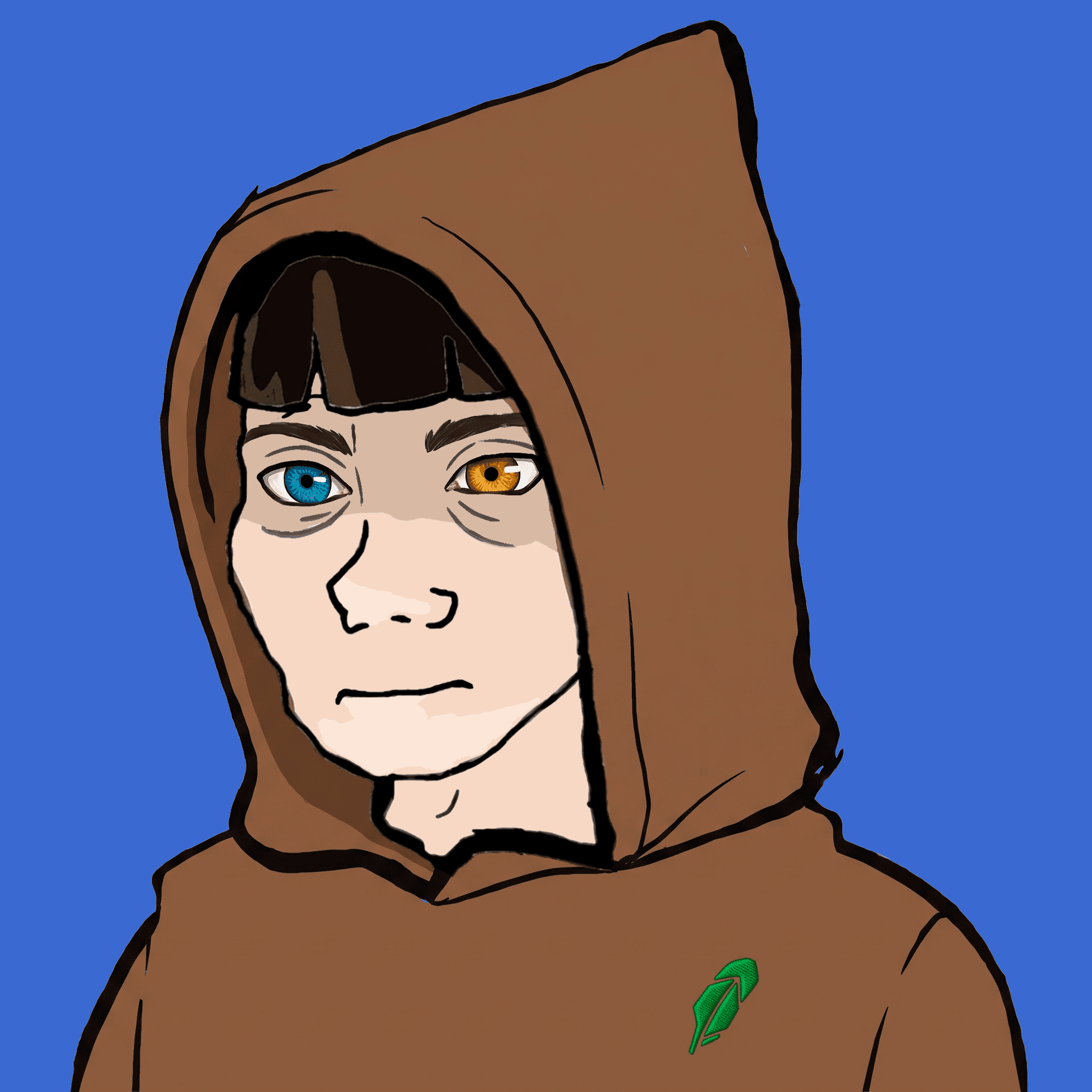 Hoodies #1067