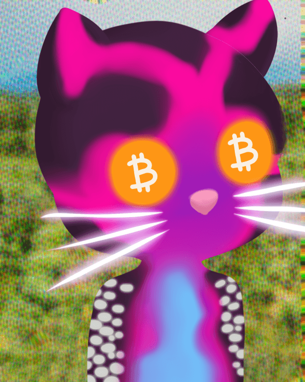 Quantum Milady Cats #9997
