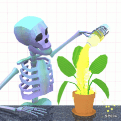 SpookSPOOK #501