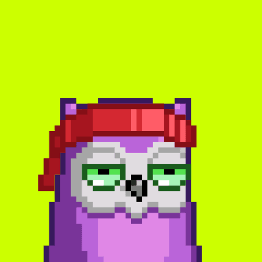 Birdies Hood #38