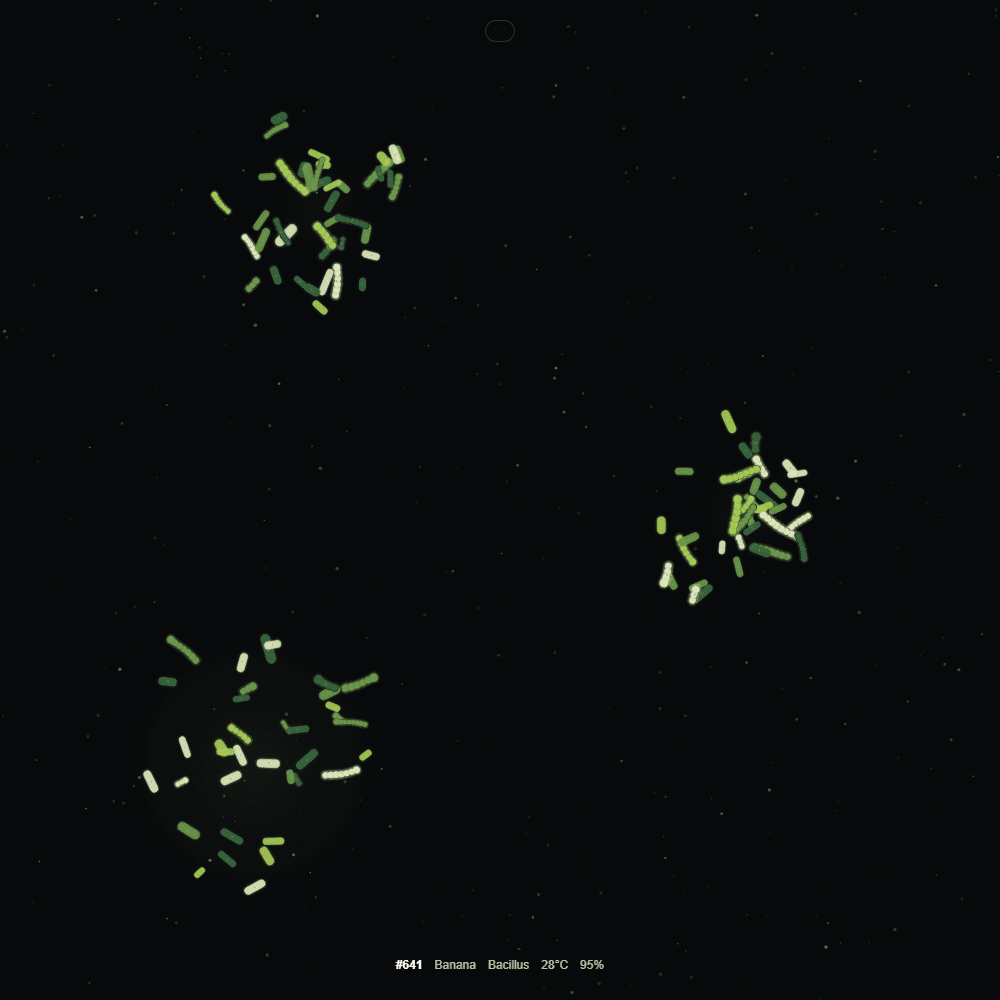Fermented Culture #641