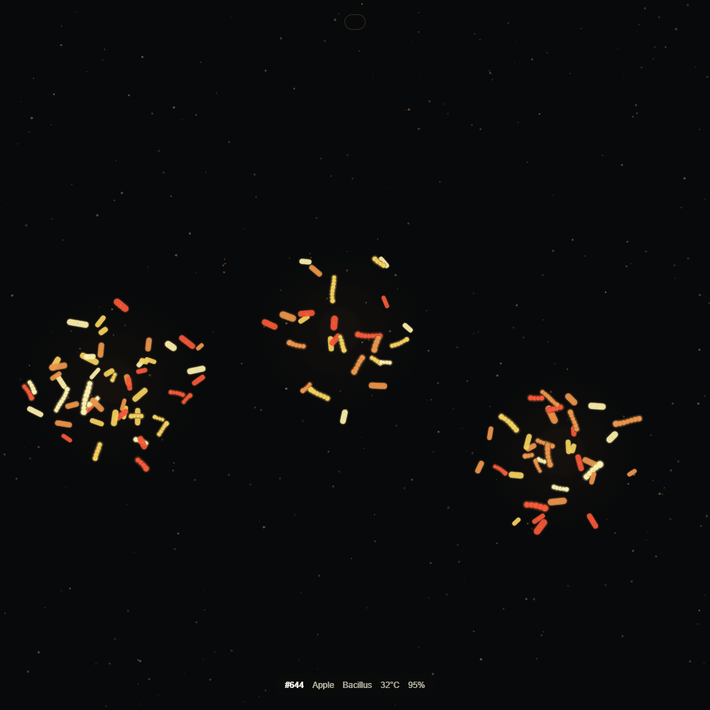 Fermented Culture #644