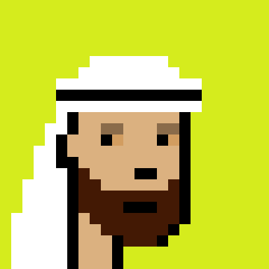 Robinhood Saudis Punks #2502