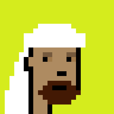 Robinhood Saudis Punks #2505