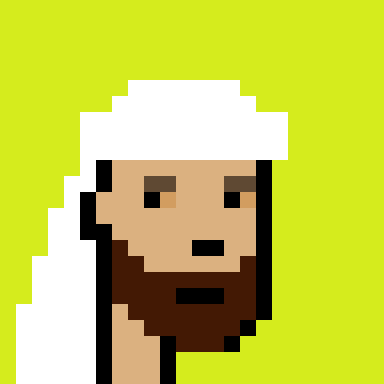 Robinhood Saudis Punks #2507