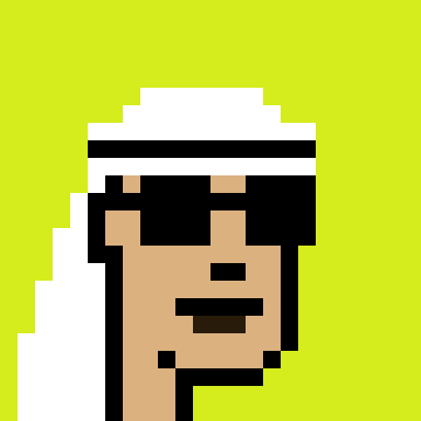Robinhood Saudis Punks #491