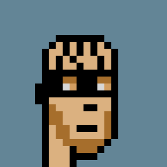 Robinhood Punk #1072