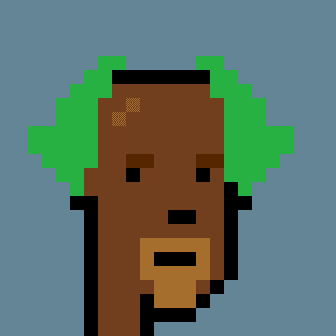 Robinhood Punk #1702