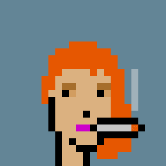 Robinhood Punk #8847