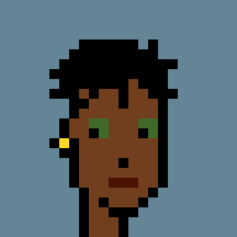 Robinhood Punk #9801