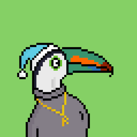 Toucans #1178