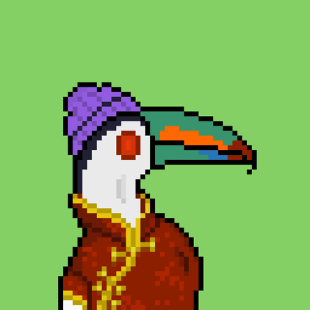 Toucans #1662