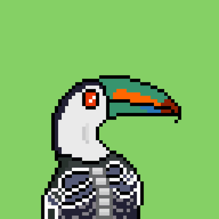Toucans #1665