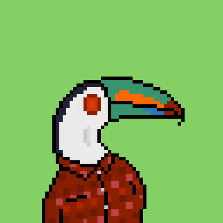 Toucans #1666