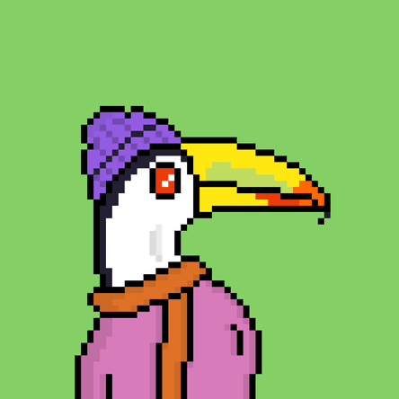 Toucans #1667
